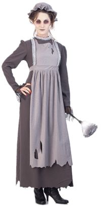 Unbranded Ladiess Costume: Elsa the Ghost Maid