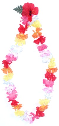 Unbranded Lalu Lei Rainbow