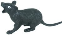 The black rat spread the bubonic plague so you