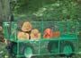   The ultimate in garden trolleys which can carry