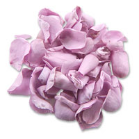 lavender rose petals