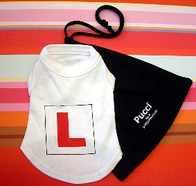 Learner Dog Tee!