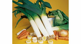 Unbranded Leek Autumn Mammoth 2 - Snowstar Seeds