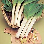 Unbranded Leek Musselburgh Seeds - Triplepack