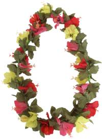 Lei Hibiscus Assorted Colours