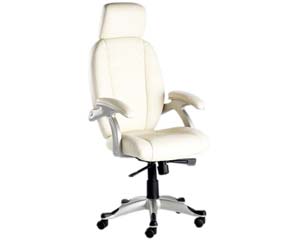 Unbranded Lennon executive chair