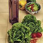 Unbranded Lettuce Tom Thumb Seeds 436818.htm