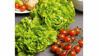 Unbranded Lettuce Tom Thumb Seeds