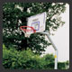 112cm x 74cm �Impact� backboard. Double wall h