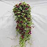 Unbranded Lofos Burgundy Falls Plants 478121.htm