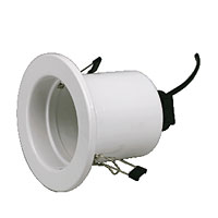 Mains Downlight R80 White 100W