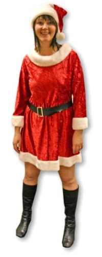 Unbranded Miss Santa Thick Fur Costume