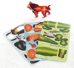 Model - 3D puzzle - Animal - 10 x 5.5cm