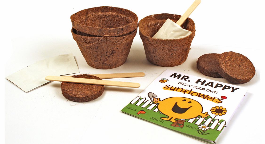 Unbranded Mr Happy Sunflowers Grow Kit