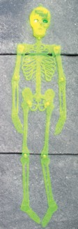 Unbranded Neon Blinking Skeleton 36 Inch (Assorted Colour)