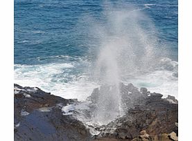 Take a 120-mile Oahu Grand Circle Island Tour! Along with the Dole pineapple tour of a historic Hawaiian plantation, experience the rugged shorelines, volcanic peaks, sandy beaches and rural atmosphere of Old Hawaii!