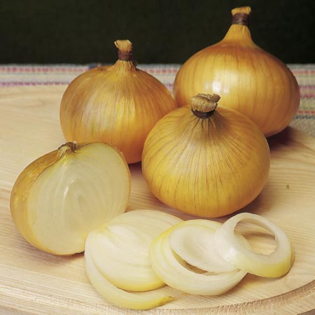 Unbranded Onion Sets F1 Centurion (200g) 200g Pack