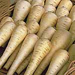 Unbranded Parsnip Albion F1 Seeds 438193.htm