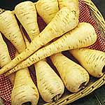 Unbranded Parsnip Cobham Improved Marrow Seeds -