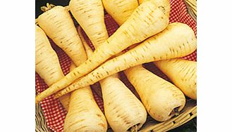 Unbranded Parsnip Seeds - Cobham Improved Marrow - Triple