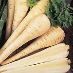 Unbranded Parsnip Tender and True Seeds - Triplepack