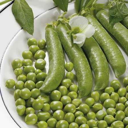 Unbranded Pea Exzellenz Seeds Average Seeds 310