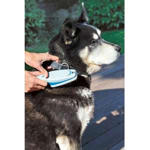 Unbranded Pet Brush