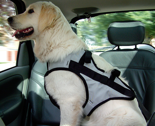 Unbranded Pet Harness, Large