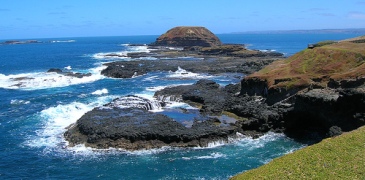 penguin penguins phillip island melbourne bay side bayside suburbs of st. kilda and brighton warrook