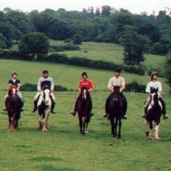 Pony Trekking