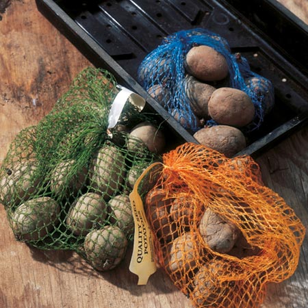 Unbranded Potato Refill Kit Pack of 15 Tubers (5 of each