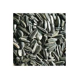 Unbranded Quality Black Sunflower Seed - 12.5kg