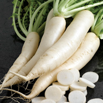 Unbranded Radish Seeds - Mino Summer Cross F1