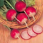 Unbranded Radish Sparkler 3 Seeds - Triplepack