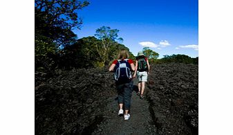 Unbranded Rangitoto Volcanic Explorer Tour - Child