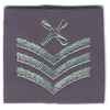 Unbranded Rank Slide - RAF Chief Technician