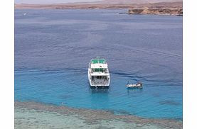 Unbranded Ras Mohamed by Boat - Child