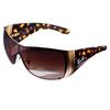 Unbranded Ray-Ban Wide Arm Sunglasses