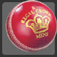 Readers Regal Crown Cricket Ball