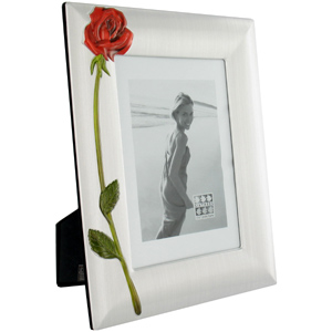 Unbranded Rose Brushed Silver Photo Frame