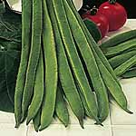 Unbranded Runner Bean Mergoles Seeds 431205.htm