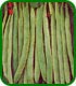 Unbranded Runner Bean Scarlet Emperor Seeds