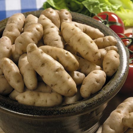 Unbranded Salad Potatoes Taster Collection 4.5kg (1.5kg of