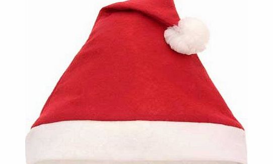 Unbranded Santa Hat