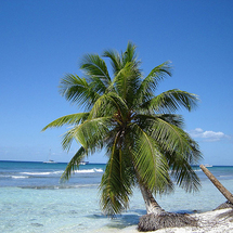 Unbranded Saona Island Catamaran Cruise - Child