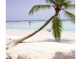 Unbranded Saona Island from Bayahibe - Child