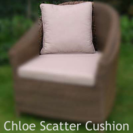 Scatter Cushion