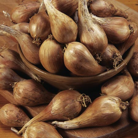 Unbranded Shallot Griselle 400g pack