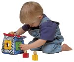 Shape Sorter Cottage- Tomy