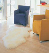 Sheepskin Rug